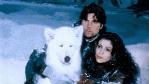 To Brave Alaska — foto 4