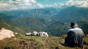 Salvajes, El Cuento Del Lobo — foto 3