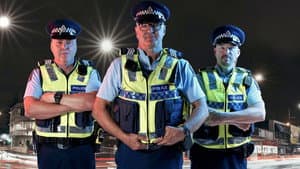 Motorway Patrol — foto 2