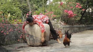 ไก่จิกเด็กตายบนปากโอ่ง — foto 1