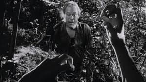 Rashomon — foto 3