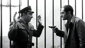 Zazidani — foto 1