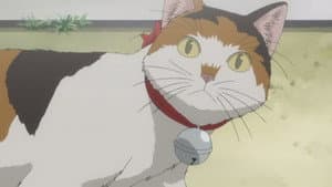 Episodio 22