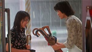 四月物語 — foto 7
