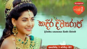 කදිර දිව්‍යරාජ — foto 2