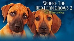 Where The Red Fern Grows Part 2 — foto 3