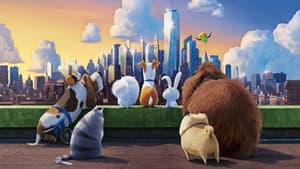 La vida secreta de tus mascotas — foto 8