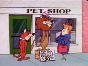 Episodio 77