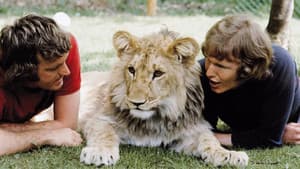 A Lion Called Christian — foto 1