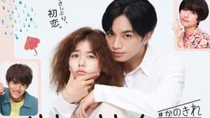 彼女はキレイだった — foto 1