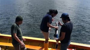 La chica del lago — foto 8