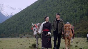 雪莲花盛开的地方 — foto 2