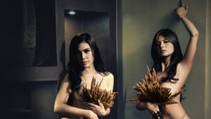 Bayo — foto 2