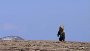 The Himalayas — foto 1