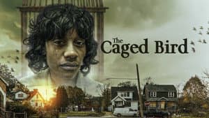 The Caged Bird — foto 1