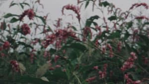 風景の死滅 — foto 4