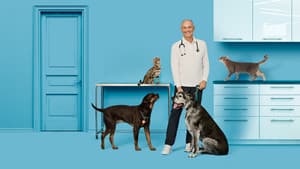 Vie de vet — foto 1