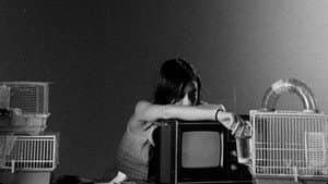 Letters to Paul Morrissey — foto 1