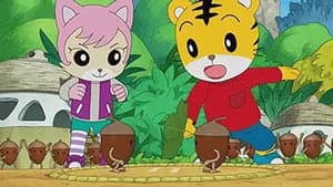 Episodio 33