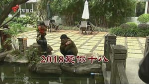 Episodio 3304