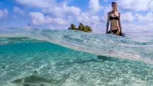 Saving Jaws — foto 4