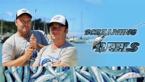Screaming Reels — foto 1