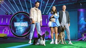 Top Dog Germany – Der beste Hund Deutschlands — foto 3