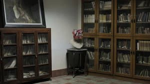 Memorial for the Lost Pages — foto 2
