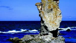 Bergman Island — foto 5