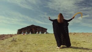 Rosa de Areia — foto 5
