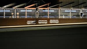 Catching The Bus — foto 6
