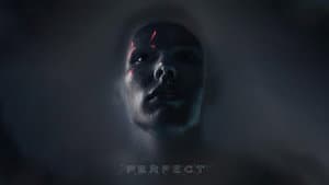 Perfect — foto 6