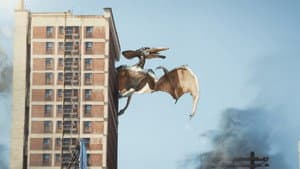 Terrordactyl — foto 7