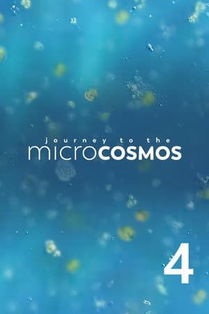 Temporada 4