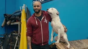 Perros perdidos y encontrados