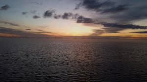 Ocean's Arrival — foto 7