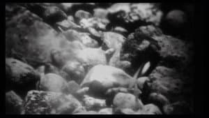 Mud and Dawn — foto 1