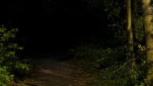 The Gully — foto 1