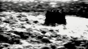 Sang titre — foto 3