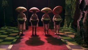 Amanita — foto 2