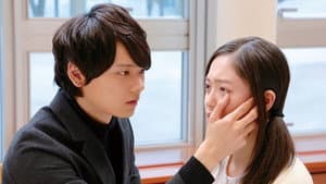 風の色 — foto 5