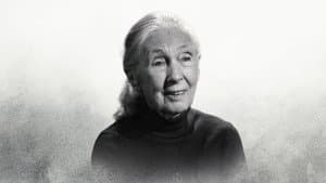 Últimas palabras célebres: Dra. Jane Goodall — foto 1