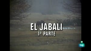 Episodio 41