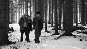 Odborný dohled nad výkladem snu — foto 1