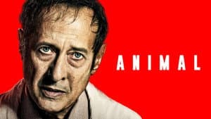 Animal — foto 4