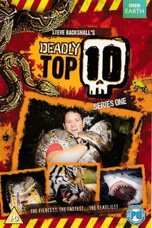 Temporada 1