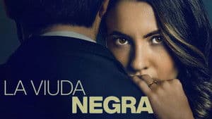 La viuda negra — foto 4