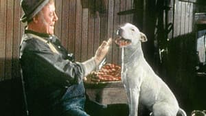 It's a Dog's Life — foto 1