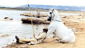 Lucky Luke — foto 6