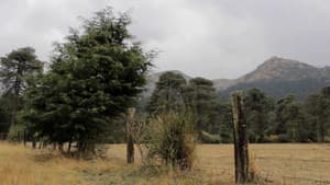 Pradera — foto 3